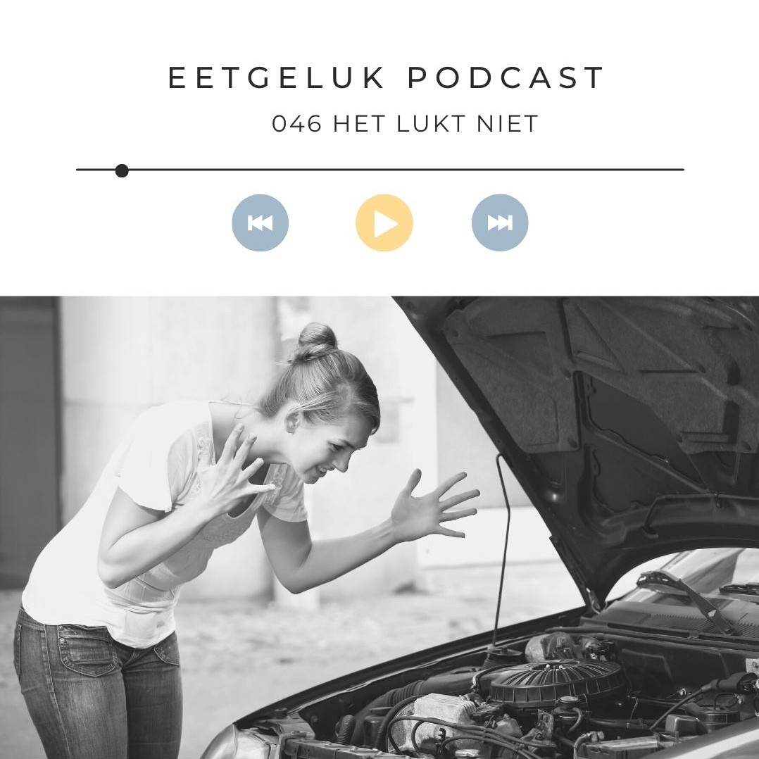 The Feminine Way of Eating Podcast