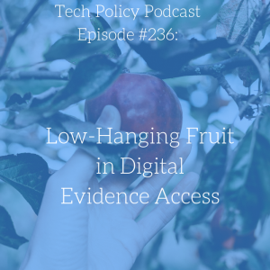 #236: Low Hanging Fruit with Professor Daskal