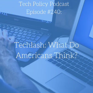 #240: Techlash: What Do Americans Think?