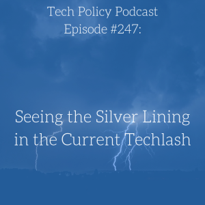#247: Seeing the Silver Lining in the Current Techlash