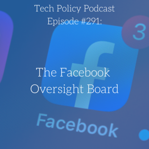 #291: The Facebook Oversight Board