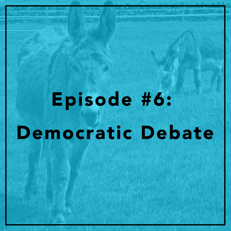 #6: Democratic Debate
