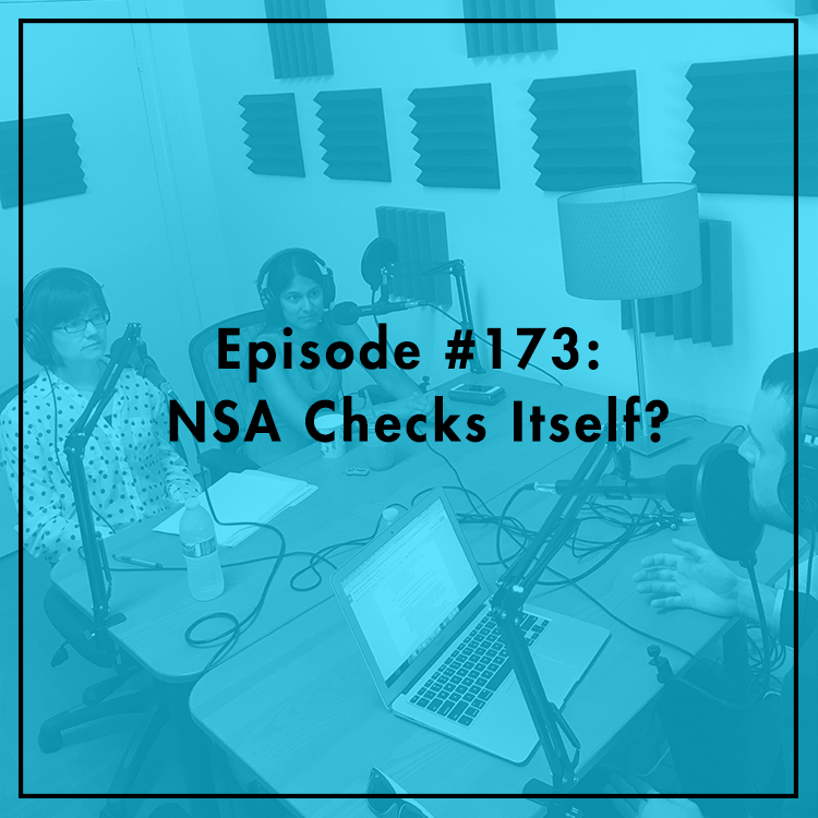 #173: NSA Checks Itself?