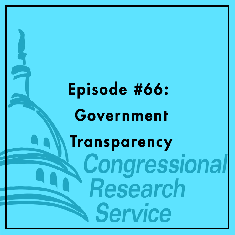 #66: Government Transparency