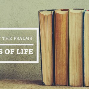 Journey Through the Psalms - Week 4