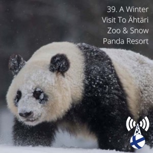 A Winter Visit To Ähtäri Zoo & Snow Panda Resort