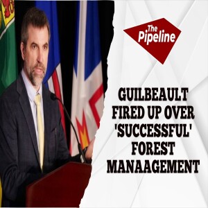 Guilbeault fired up over 'successful' forest manaagement.