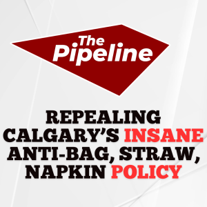 The Pipeline: Repealing Calgary’s insane anti-bag, straw, napkin policy.