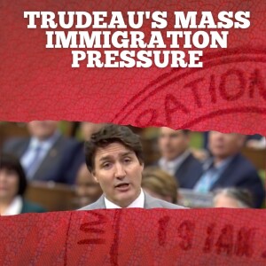 CMS: Trudeau's immigration policies are crushing Canada