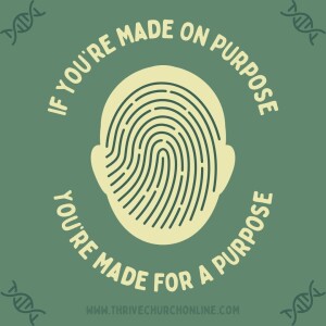 Identity ”You Are On Purpose”
