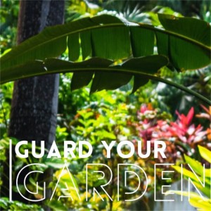 Guard Your Garden - Week #2