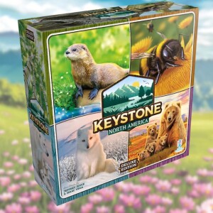 Keystone North America – Rose Gauntlet Entertainment – Board Game Review