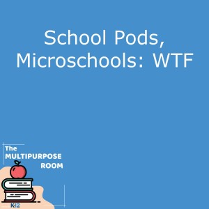 School Pods, Microschools: WTF