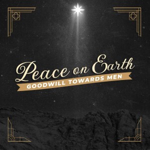 Peace on Earth: A Shalom Life in a Fractured World