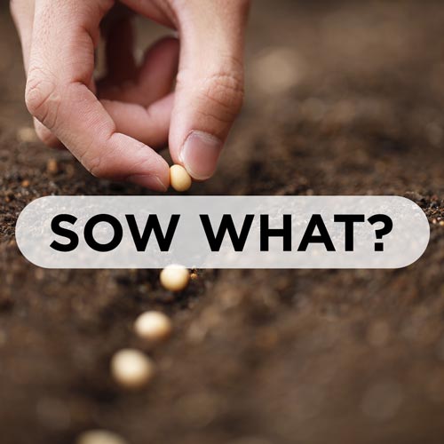 Sow What? : Seeds of Eternal Life