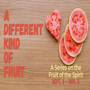 02 - Joy | A Different Kind of Fruit