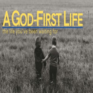 06 - A Fruitful and Abundant Life | A God-First Life