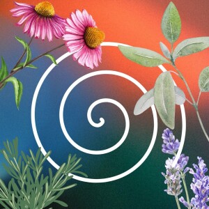 [Wellness Segment] Circling back~
