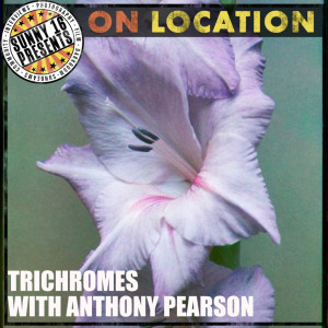 On Location: Trichromes with Anthony Pearson