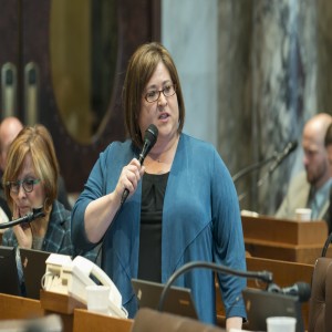 Rep. Lisa Subeck: Republicans' miserable record on babies after they are born