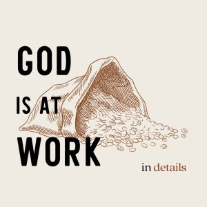God Is at Work in Details | Ruth 2