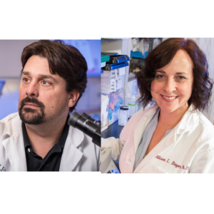 Episode 154: Chris Fraker, PhD, and Allison Bayer, PhD, Diabetes Research Institute Foundation