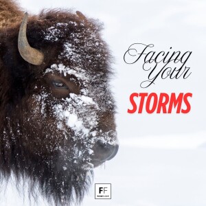 Facing Your Storms