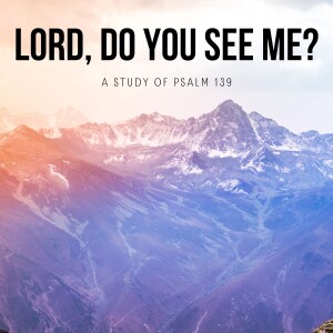 Lord, Do You See Me? (Part 1)