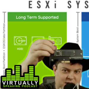 ESXi System Storage