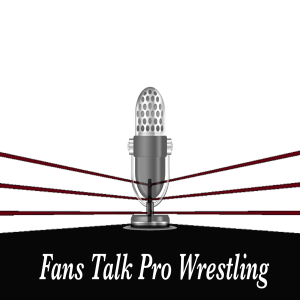 Fans Talk Pro Wrestling Podcast Ep. 9 - The State of Tag Team Wrestling in 2020