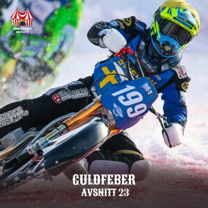 Avsnitt 23 - Guldfeber