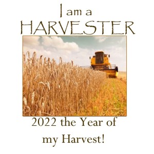 2022 The Year of My Harvest!