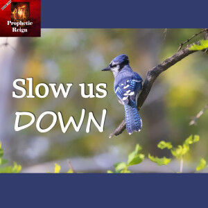 Slow Us Down