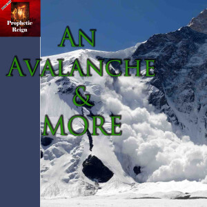 An Avalanche & More