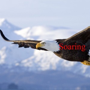 Soaring