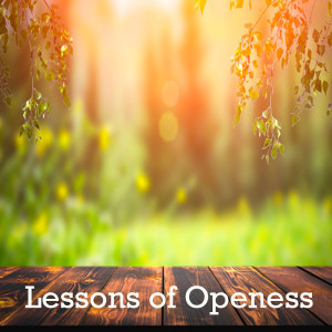 Lessons of Openess