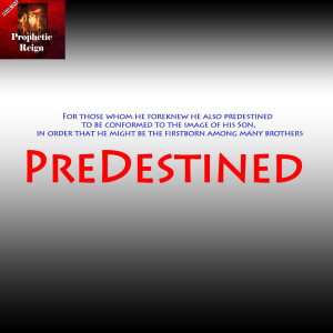 PreDestined