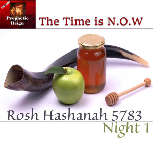 Rosh Hashanah The Time is NOW