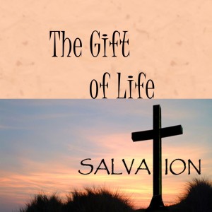 Salvation Night - The Gift of life