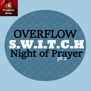 OVERFLOW SWITCH pt 2