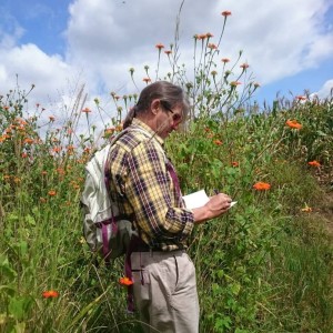 Rob Cunliffe: The functions and conservation of wetlands in Harare