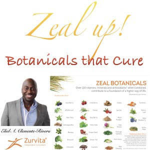 Elementos nutricionales en el Zeal