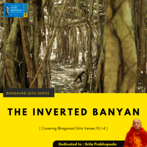 THE INVERTED BANYAN (BG 15.1-4) | HG GAURMANDAL DAS
