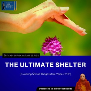 THE ULTIMATE SHELTER (SB 7.9.19) | HG SHREESHA GOVIND DAS