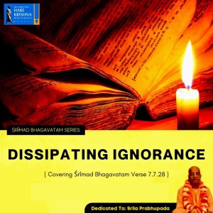 DISSIPATING IGNORANCE (SB 7.7.28) | HG SREESHA GOVIND DAS