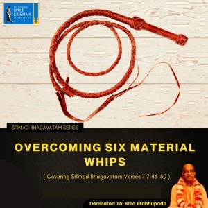 OVERCOMING SIX MATERIAL WHIPS (SB 7.7.46-50) | HG SREESHA GOVIND DAS
