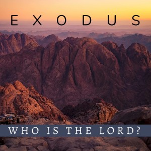 Desperate Times Call for Desperate Prayer | Exodus 6
