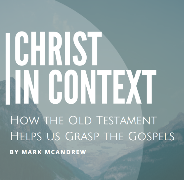 CHRIST IN CONTEXT: New Birth and the Free Will of God's Spirit (John 2-3)