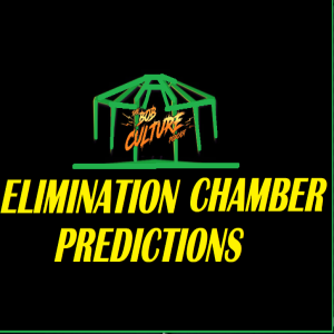 Elmination Chamber 2022 Picks