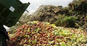 Food Waste